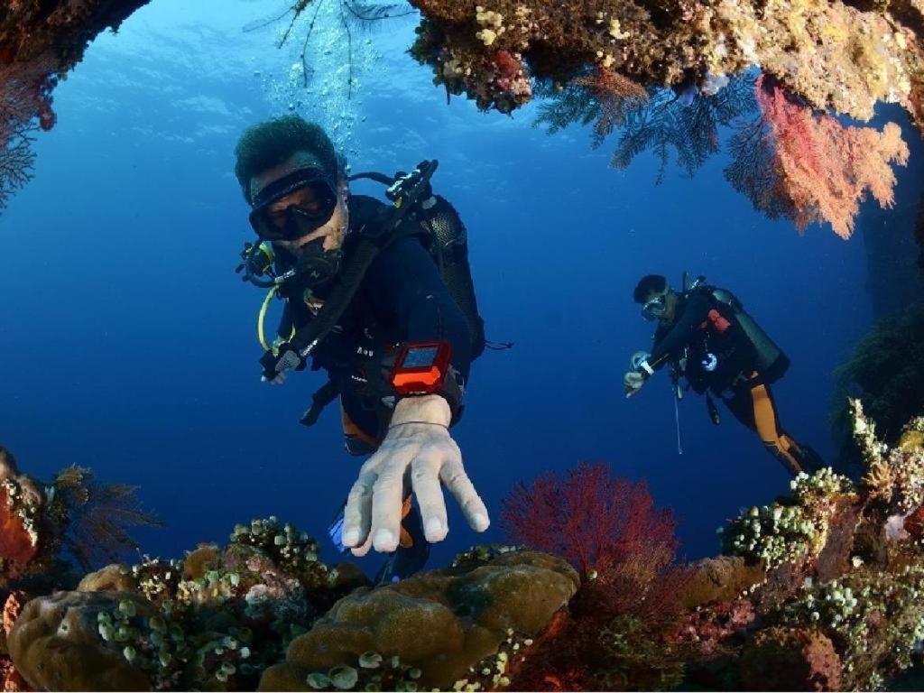 Crystal Ocean View Tulamben Hotel מראה חיצוני תמונה